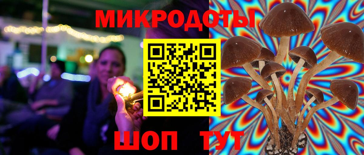 Хасавюрт  сколько стоит  Вход с VPN  Псилоцибиновые грибы Psilocybe  Галлюциногенные грибы GOLDEN TEACHER 