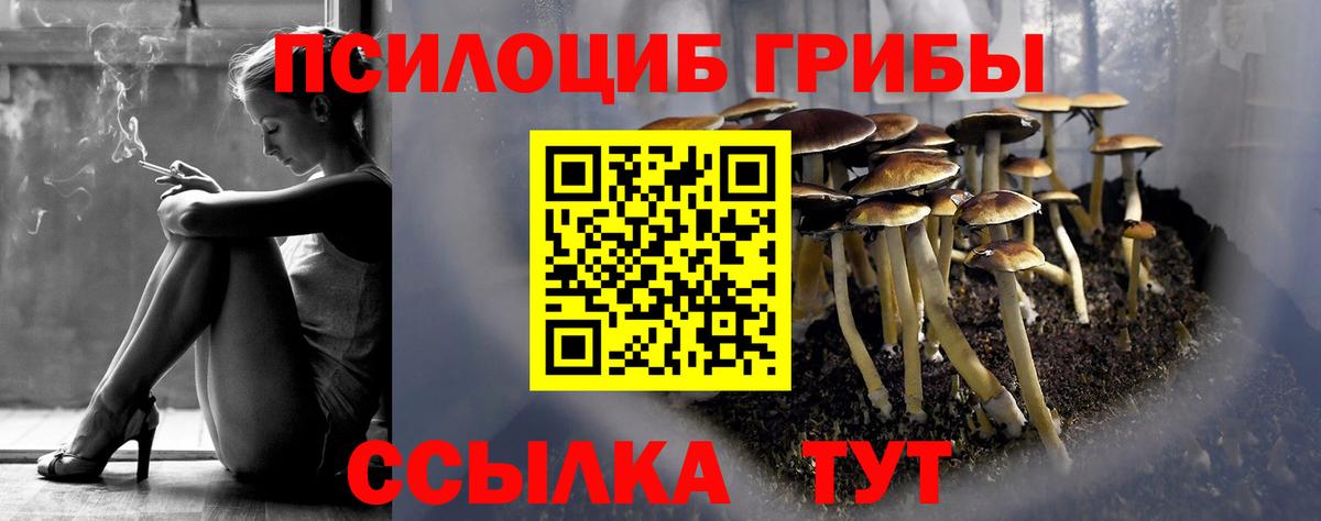 Псилоцибиновые грибы Psilocybine cubensis Хасавюрт